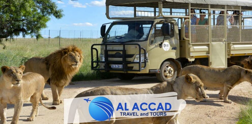 Al Accad Travel | Africa Tours