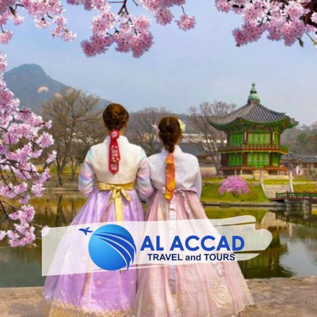 Al Accad Travel | Korea Spring